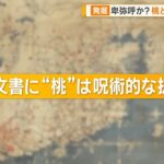 レス1番の画像4