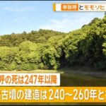 レス1番の画像2