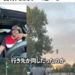 レス21番のリンク先のサムネイル画像