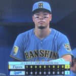 レス44番の画像1