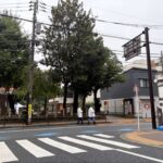 レス34番のリンク先のサムネイル画像