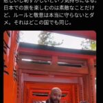 レス11番の画像1