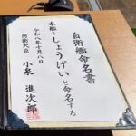 レス1番の画像2