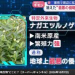 レス1番の画像1