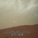 レス20番の画像1