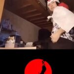 レス53番の画像3