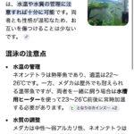 レス25番のリンク先のサムネイル画像